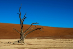 Deadvlei