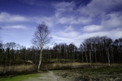 Heemtuin-153948688